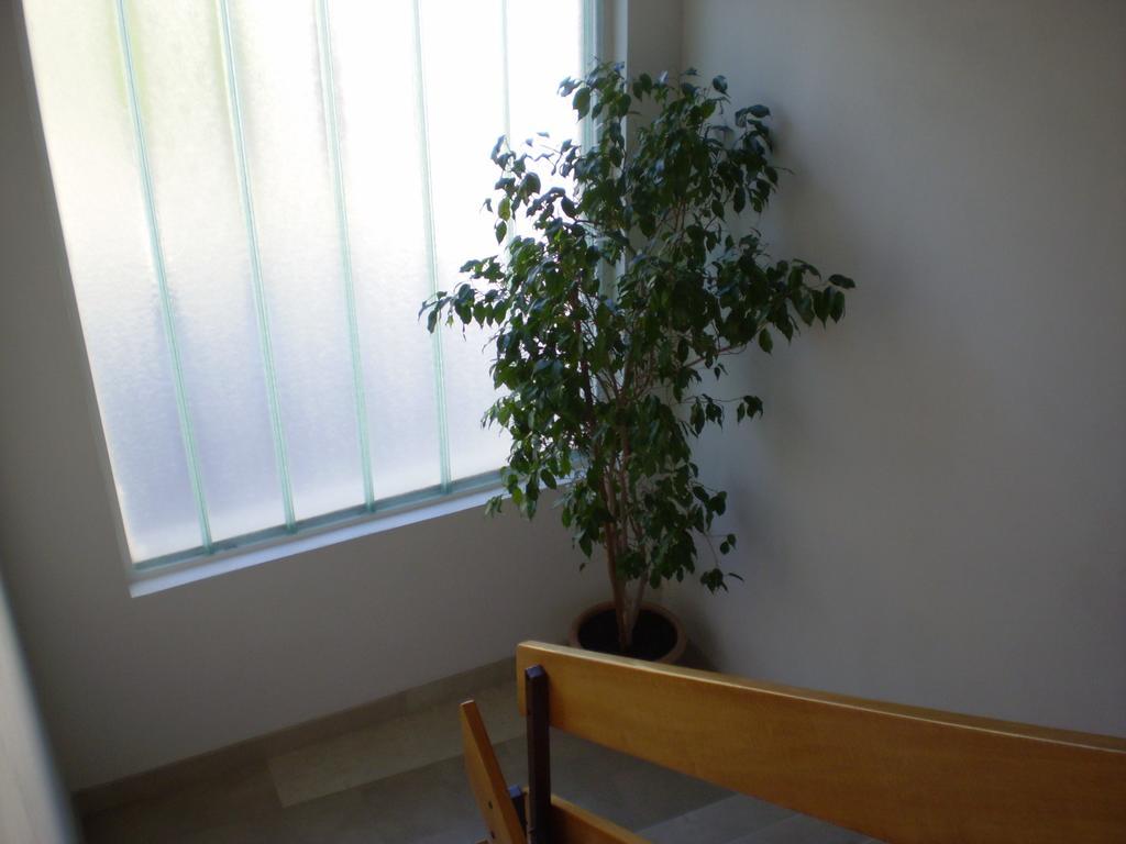 Apartment Jurasovic ماكارسكا المظهر الخارجي الصورة